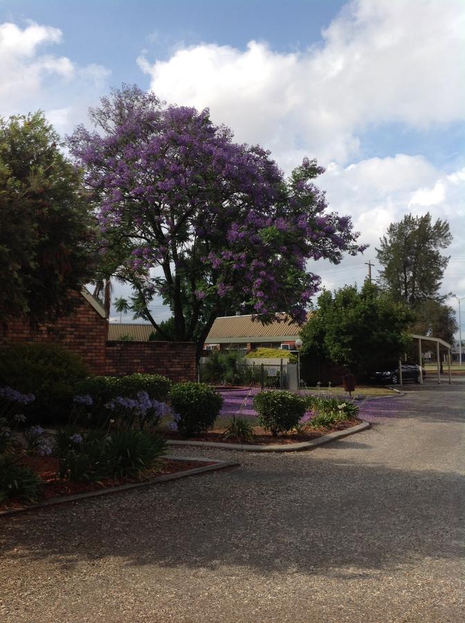 Belvoir Village Motel&Apartments Wodonga Buitenkant foto